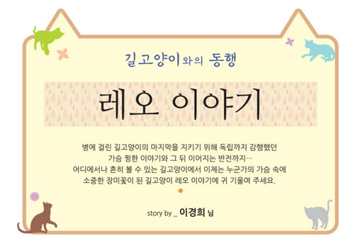 [길고양이와의 동행] 고양이 이야기 7편 - 레오 이야기 