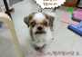 랭이 할아버지 시집살이 ^^;;