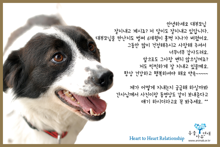 1:1결연 사진과 동영상 발송 명단입니다.(2014년 9월6일~10월 5일 까지 신청하신 대부모님)