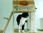 복지센터 야옹님들을 위한 특급 선물이 도착했습니다~~!!!