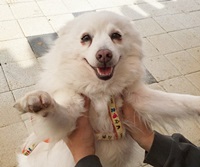 꽃피는 봄이오면 꽃보다 산책입니다 ~~~