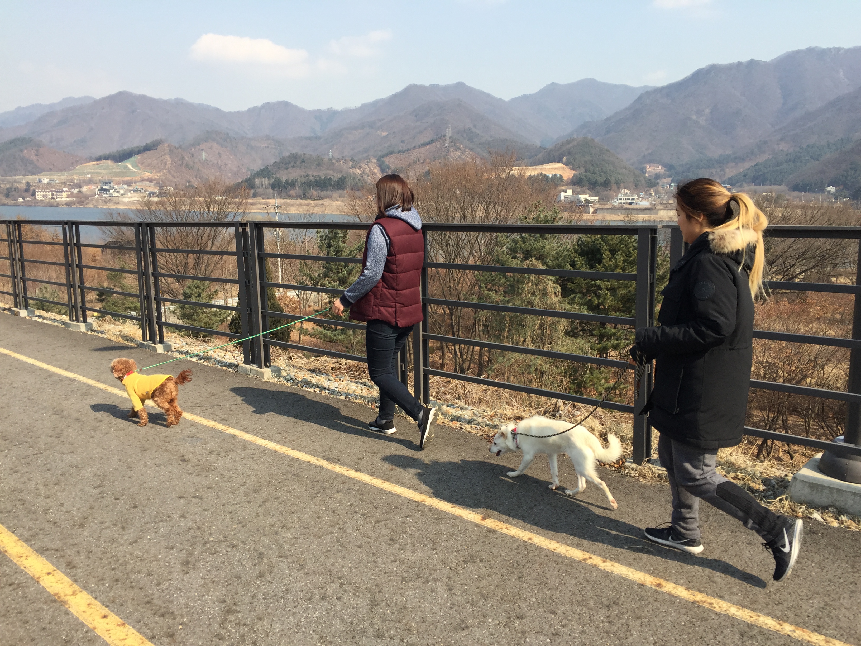 화창한 날엔 개 재미난 산책! 개미산이 정답이죠~~잉^^