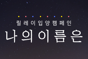[41일의 기적] '나의 이름은'  릴레이 입양캠페인이 시작되었습니다~!