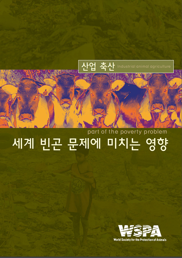 [보고서] 산업축산 - 세계 빈곤 문제에 미치는 영향