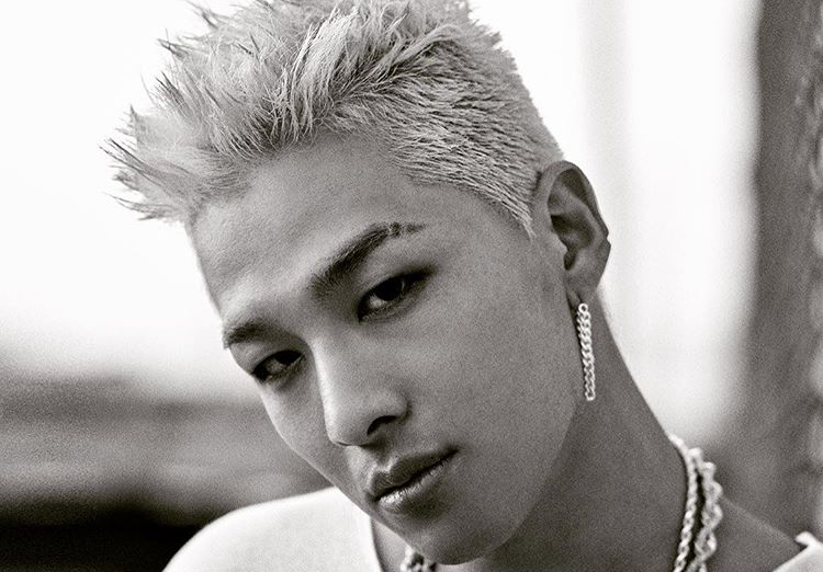 빅뱅 태양 팬클럽의 사료 후원