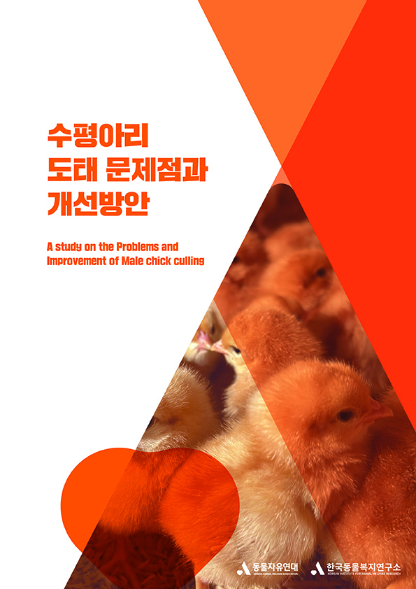 [보고서] 수평아리 도태 문제점과 개선방안