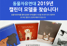 동물자유연대 2019년 캘린더 모델을 찾습니다!