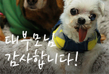 2018 결연의 날 대부모님께서 보내주신 선물들입니다.