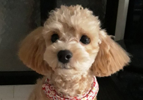 보담이는 잘 지내고 있어요!