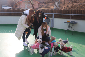 꺅! 아이즈원, 프로미스나인 멤버들이 봉사왔어요~♥