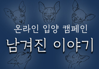 [온라인 입양 캠페인] 평택 불법 번식장 구조 이후 '남겨진 이야기'에 함께해주세요!