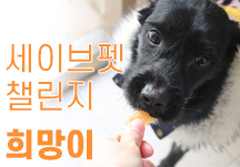 [세이브펫챌린지X해피빈] ‘방치되어 구조된 희망이를 위한 여자친구 신비의 도전!’