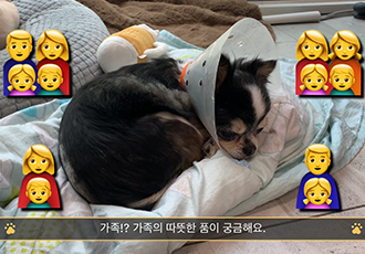 가족을 기다리고 있는 세치의 하루 VLOG!