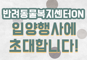 [입양행사] 12월 7일(토), 동물자유연대 입양행사에 초대합니다! 크리스마스에는 가족을!