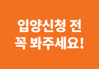 동물 입양 전 꼭 봐야 할 영상