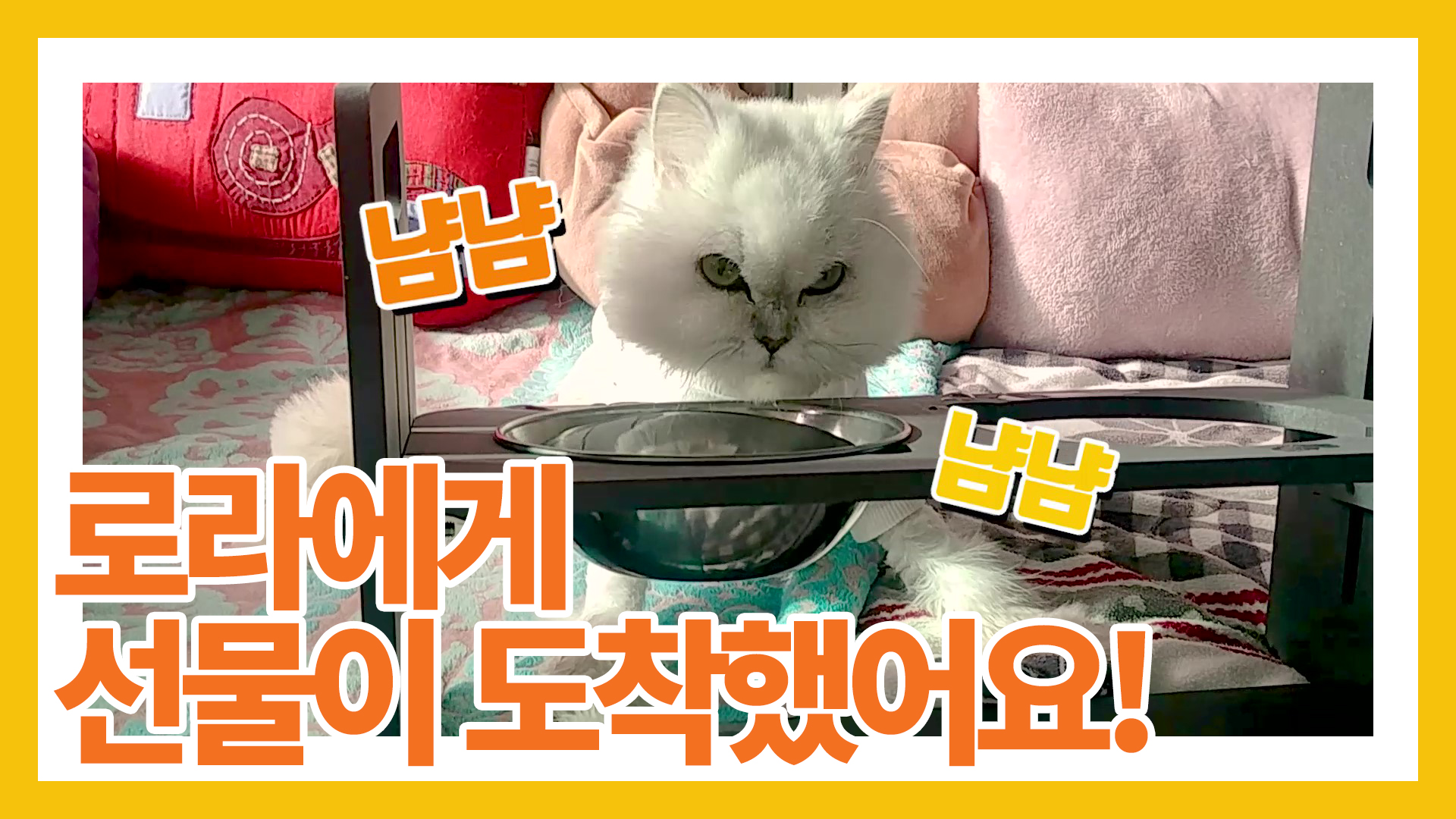 로라에게 생긴 일(feat. 대부모님은 사랑입니다.)