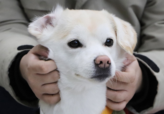 온 센터에 절미 절미 짱절미가 왔어요!