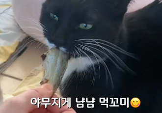 간식맛집, 오늘 메뉴는 열빙어!