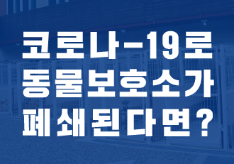 [카드뉴스] 코로나-19로 동물보호소가 폐쇄된다면?