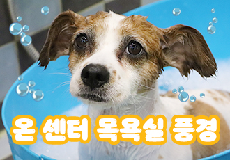 온 센터 목욕실을 소개합니다! 1편(쿠키 영상 있음!) 