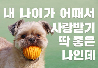 어때서 시리즈1-1 - 내 나이가 어때서? 사랑받기 딱 좋은 나인데!(반려견)