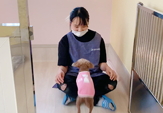 안 본 사람은 있어도 한 번만 본 사람은 없다는 메가톤 영상!