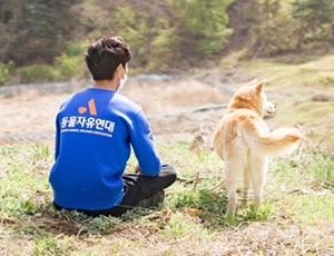 [Animal Home Essay] 의지대로 움직이는 자유가 개를 살게 한다. 