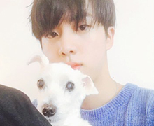방탄소년단 진 & jinsupportjp & japan army의 물품 후원