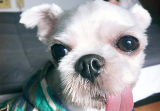 바토 소식 전해드려요