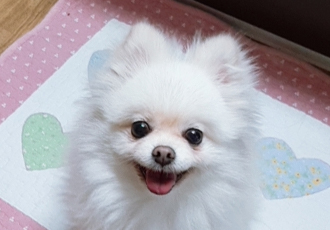 곤지 입양 1년