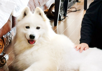 클로이의 일주일♡