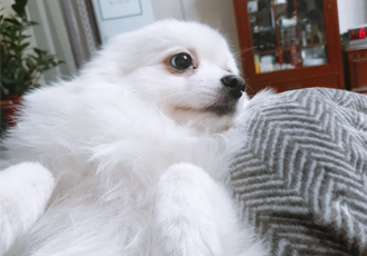 별(꽃별)이  오랜만에   소식알려드려요~