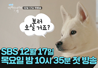 동물자유연대가 함께하는 SBS <어쩌다 마주친 그 개> 본방사수!