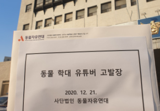 [동물학대] 길고양이 학대 유튜버 고발 (제보요청)