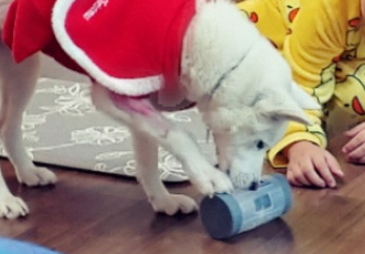 구름이가 편안하길~