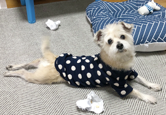 진이(前바비) 일주일 차 소식입니다. ^0^ 