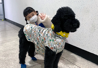고양 불법번식장 구조 헤라 임보이야기