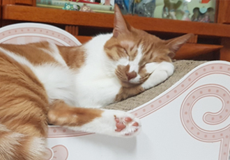 다빈이 입양 3주년