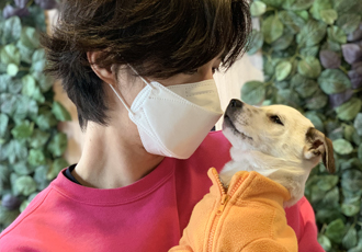 도도(당이) 입양후기