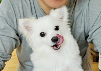 또리 잘 지내고 있어요~^^(1년차 후기)