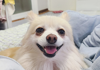 보배가 1주차!!