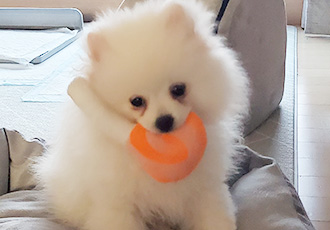 곤지암 꾸일이 적응기