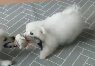 곤지암 이슬이 한달 후기 입니다.(그레아가)