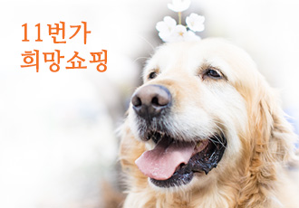 11번가와 함께하는 희망가득챌린지로 동물자유연대 입양카를 선물해주세요!