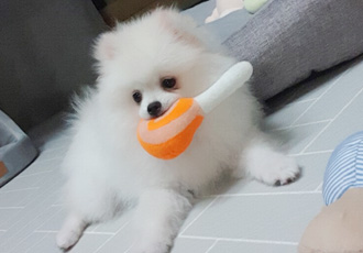 곤지암 꾸일이 적응기