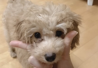 초이 한달 소식 전해드려요~^^(해삼이)