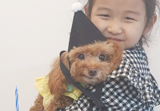 영천번식장 보들이 입양1주년기입니다