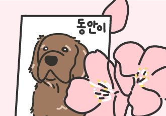 [배경화면] 봄의 끝, 별꽃엔딩🌸
