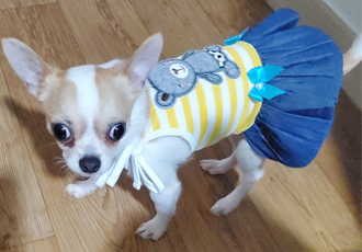 이랑이 한달 후기