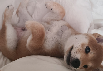 곤지암 세시 1달 ❤